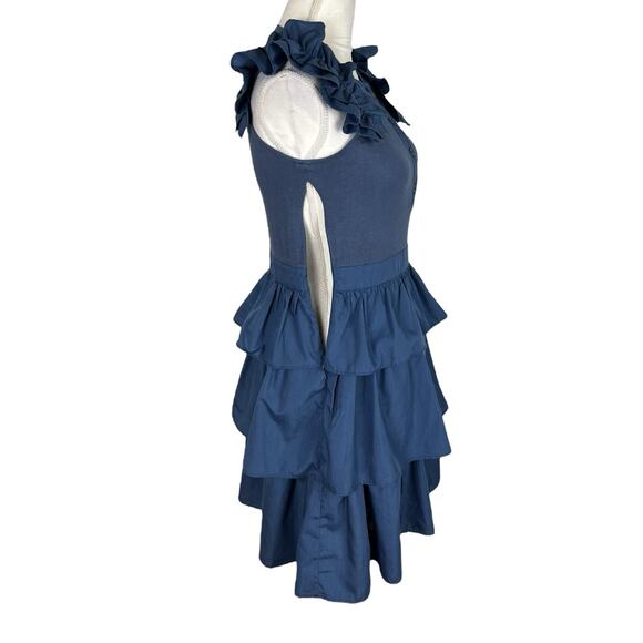 The Shirt Rochelle Behrens Blue Tiered Ruffle Dress Sleeveless Size Small - Picture 6 of 8